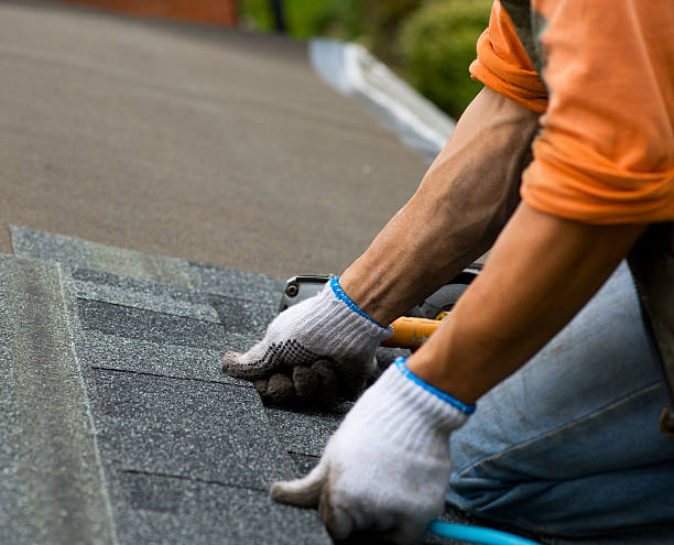 Best Local Roofing Companies  in Jasper, IN